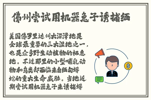 中国eKe老太太Bn卄nO